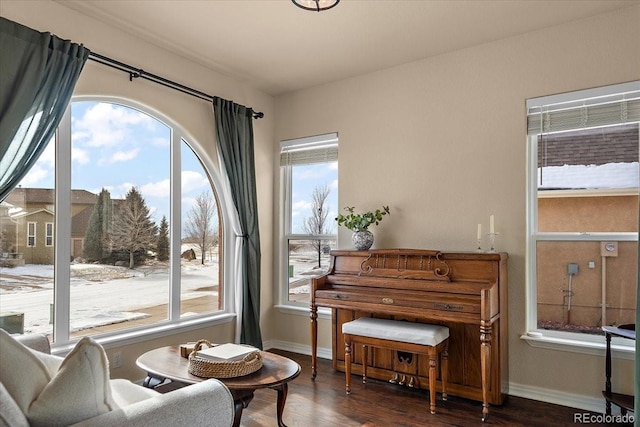 sitting room with dark hardwood / wood-style flooring and a wealth of natural light