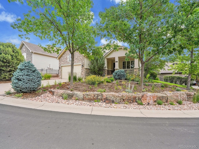 7628 Pineridge Ter, Castle Pines, CO 80108 - photo 2