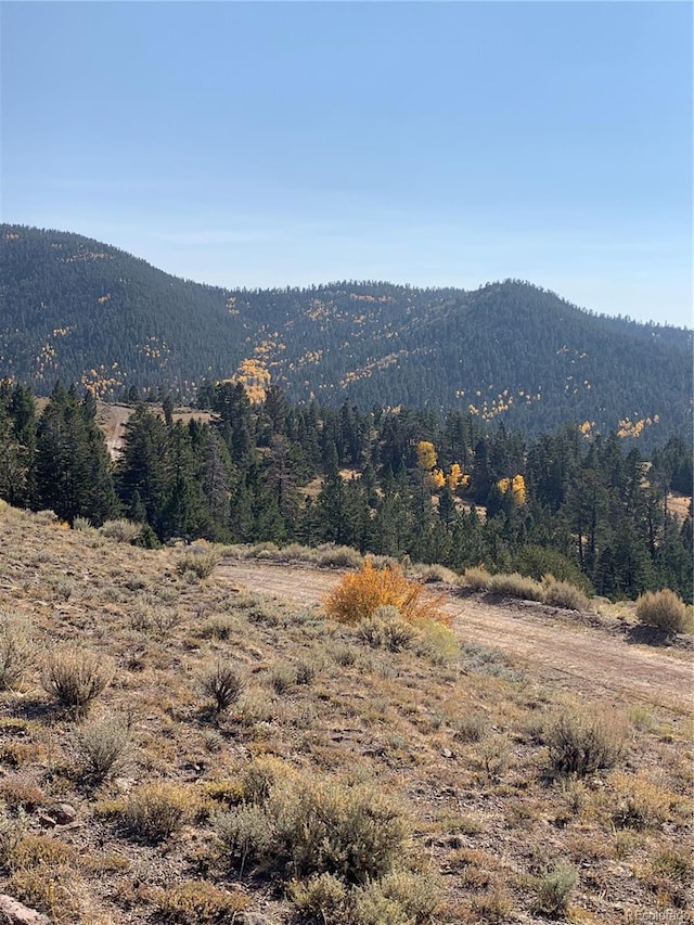 5079 Delancey Rd, Fort Garland, CO 81133