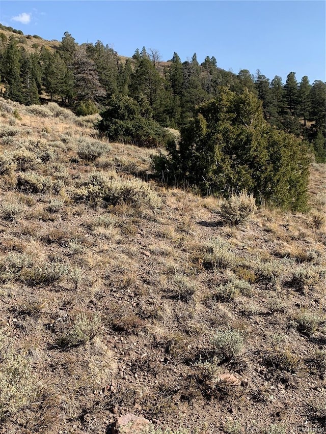 5079 Delancey Rd, Fort Garland, CO 81133