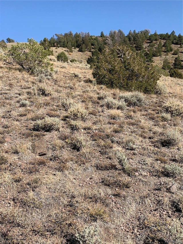 5079 Delancey Rd, Fort Garland, CO 81133
