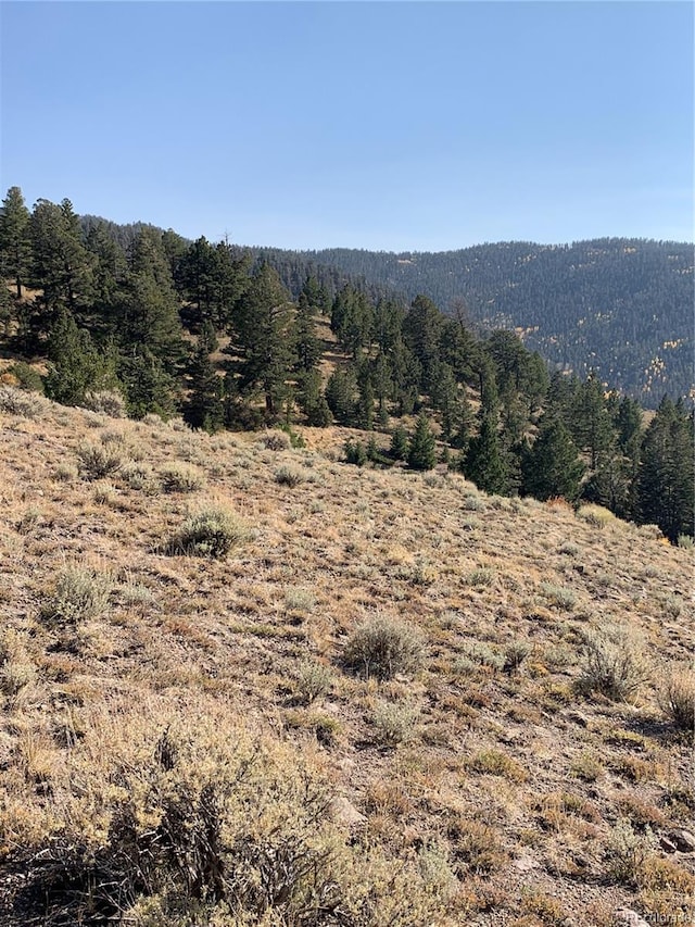 5079 Delancey Rd, Fort Garland, CO 81133
