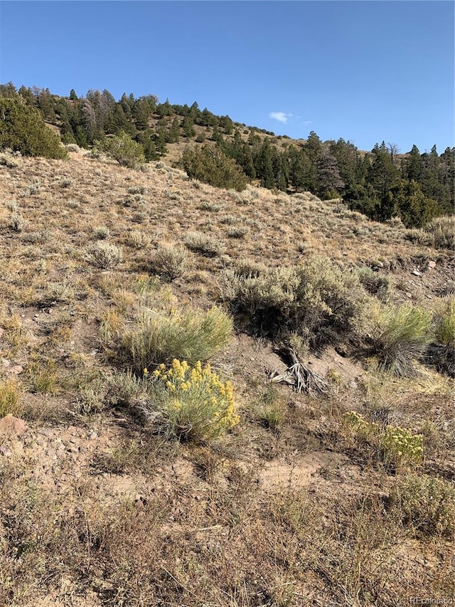 5079 Delancey Rd, Fort Garland, CO 81133