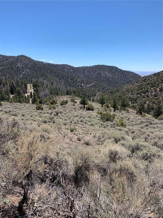 5079 Delancey Rd, Fort Garland, CO 81133