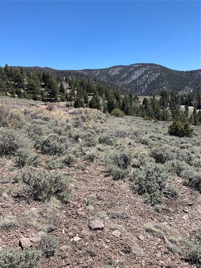 5079 Delancey Rd, Fort Garland, CO 81133