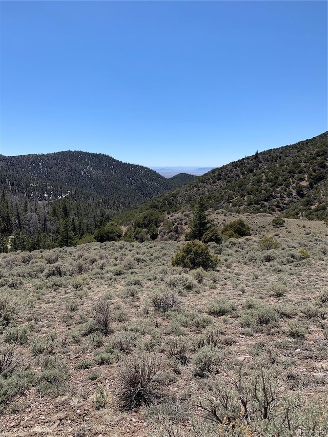 5079 Delancey Rd, Fort Garland, CO 81133