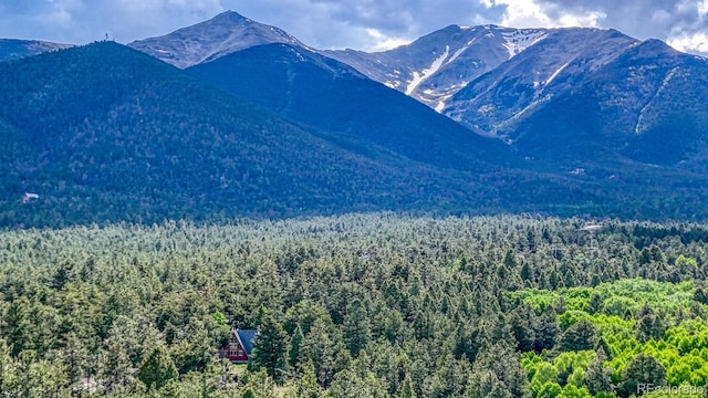 16495 Mt Princeton Rd, Buena Vista, CO 81211 - mountain view with a heavily wooded area