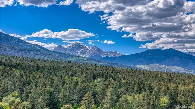 16495 Mt Princeton Rd, Buena Vista, CO 81211 - view of mountain backdrop featuring a forest