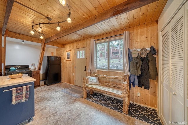 16495 Mt Princeton Rd, Buena Vista, CO 81211 - interior space featuring wooden walls, wooden ceiling with exposed beams, and baseboards