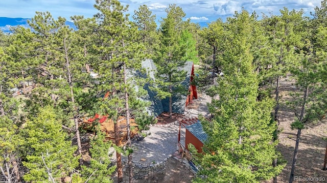 16495 Mt Princeton Rd, Buena Vista, CO 81211 - view of yard