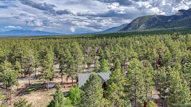 16495 Mt Princeton Rd, Buena Vista, CO 81211 - view of mountain backdrop featuring a heavily wooded area