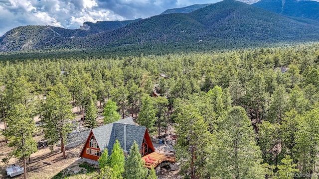16495 Mt Princeton Rd, Buena Vista, CO 81211 - mountain view with a heavily wooded area