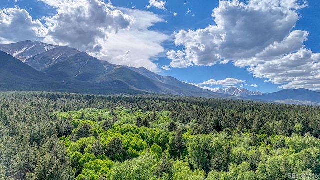 16495 Mt Princeton Rd, Buena Vista, CO 81211 - view of mountain backdrop with a heavily wooded area