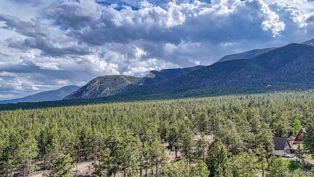 16495 Mt Princeton Rd, Buena Vista, CO 81211 - view of mountain background featuring a heavily wooded area