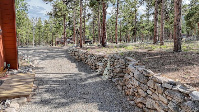 16495 Mt Princeton Rd, Buena Vista, CO 81211 - view of property's community with driveway and a forest view