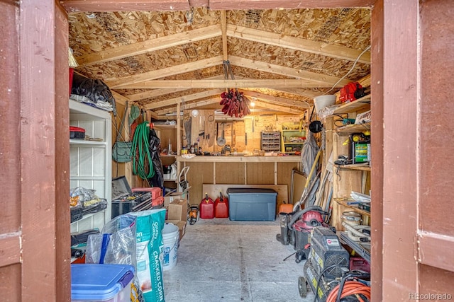 16495 Mt Princeton Rd, Buena Vista, CO 81211 - view of storage room