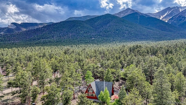 16495 Mt Princeton Rd, Buena Vista, CO 81211 - view of mountain backdrop with a forest
