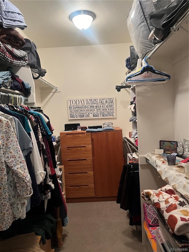 walk in closet with light colored carpet