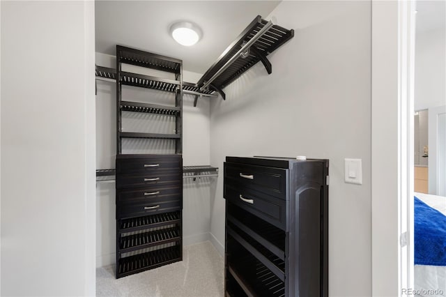 spacious closet featuring carpet floors