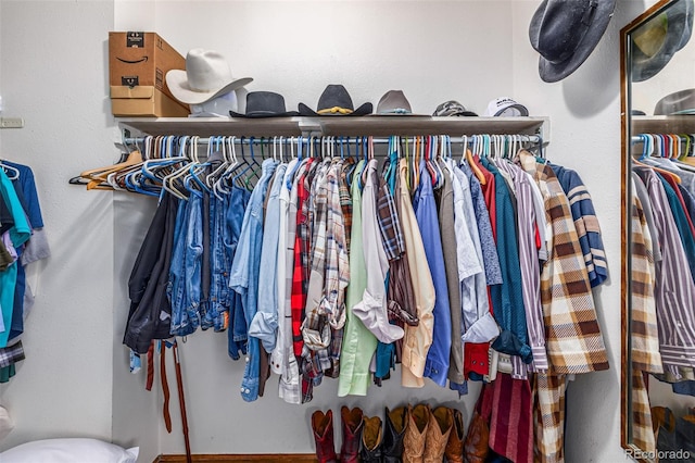 view of spacious closet