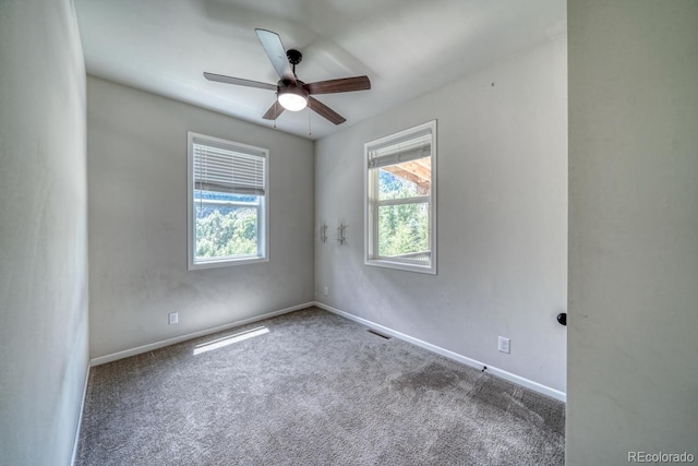 8242 County Road 240e, Salida, CO 81201 - photo 40