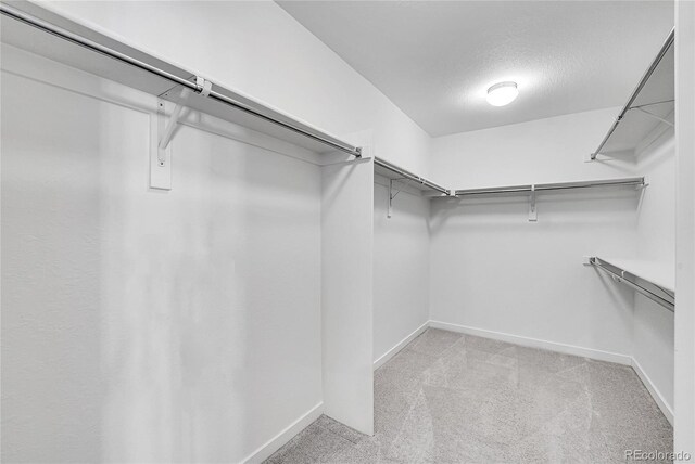 spacious closet with light carpet