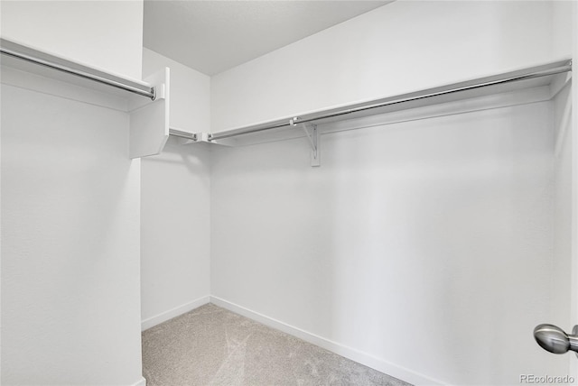 spacious closet with carpet floors