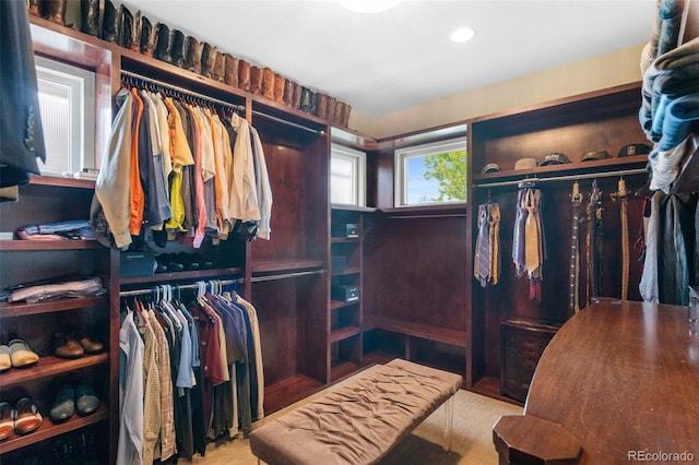 1344 S Saint Paul St, Denver, CO 80210 - view of walk in closet