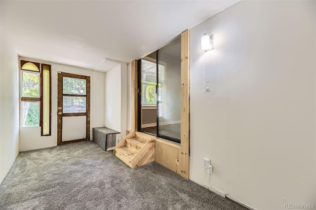 1187 Syracuse St, Denver, CO 80220 - view of carpeted spare room