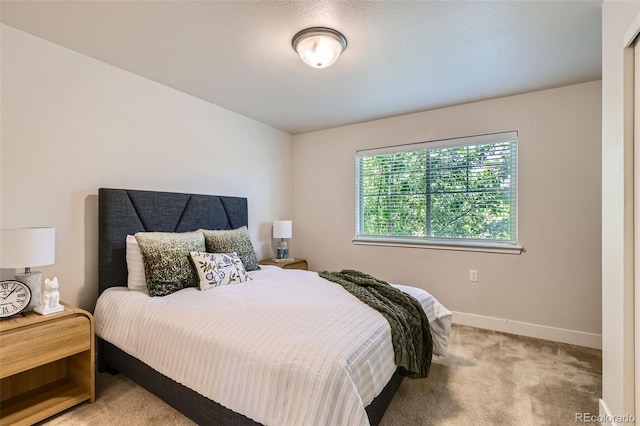 65 Avocet Ct, Longmont, CO 80501 - bedroom with light carpet and baseboards