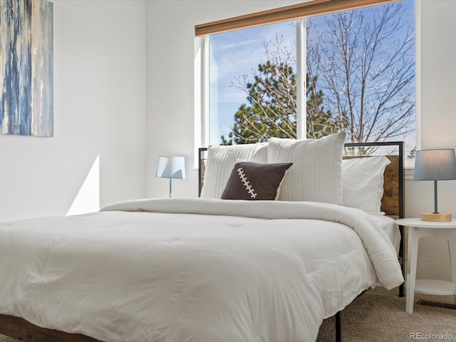 bedroom with carpet floors