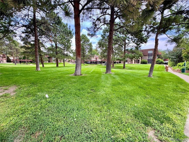 7755 E Quincy Ave Unit 203A6, Denver, CO 80237 - photo 17