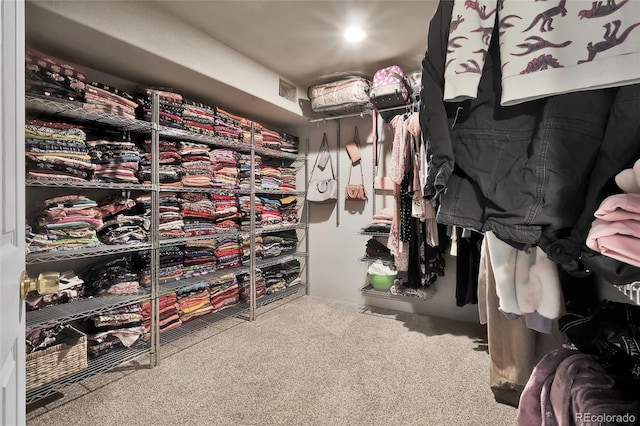 spacious closet featuring carpet