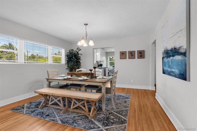 732 Greenwood Ave, Canon City, CO 81212 - photo 14