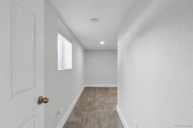 732 Greenwood Ave, Canon City, CO 81212 - photo 41