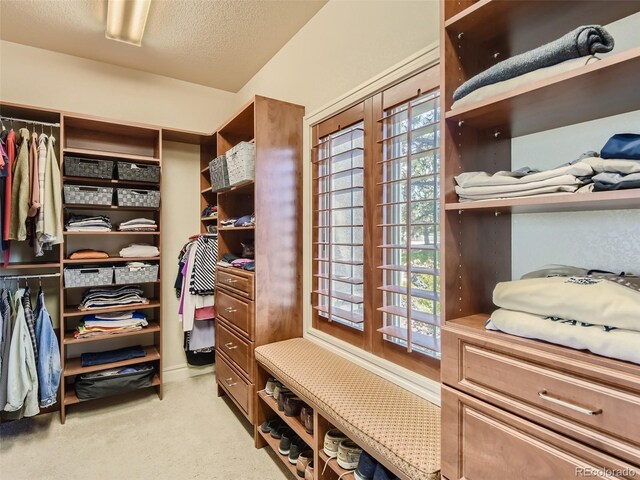 spacious closet with light carpet