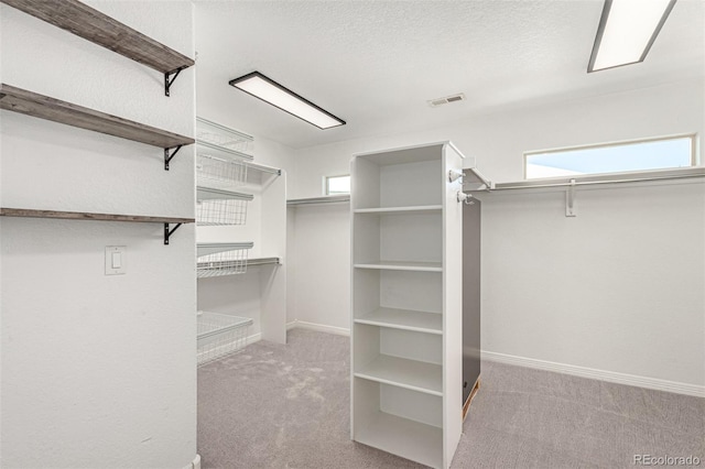 spacious closet featuring light carpet