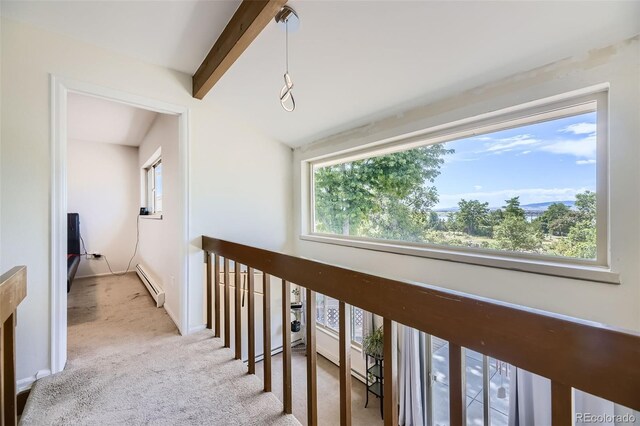 8414 S Otis St, Littleton, CO 80128 - hall featuring a baseboard radiator, plenty of natural light, and carpet flooring