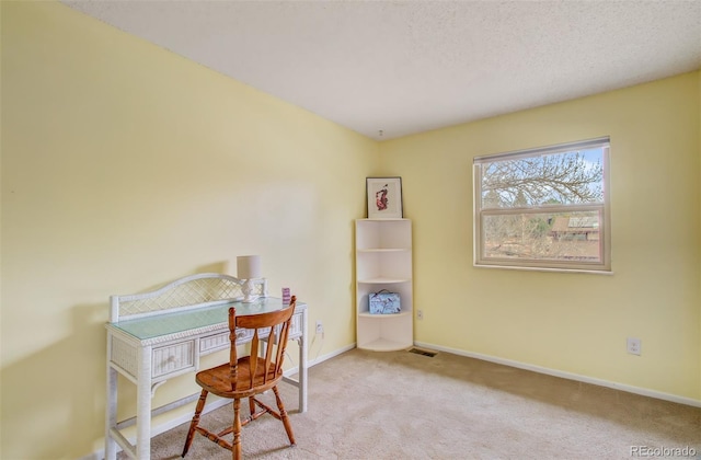 3006 Oro Blanco Dr, Colorado Springs, CO 80917 - home office featuring baseboards, carpet, and a textured ceiling