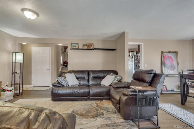 living area featuring wood finished floors