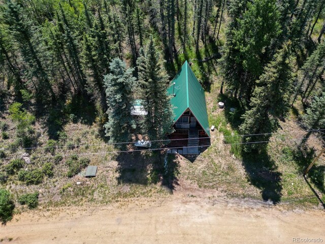 274 Midland Rd, Florissant, CO 80816 - photo 10