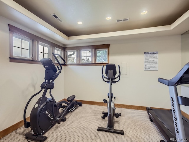 exercise area with a raised ceiling and carpet flooring