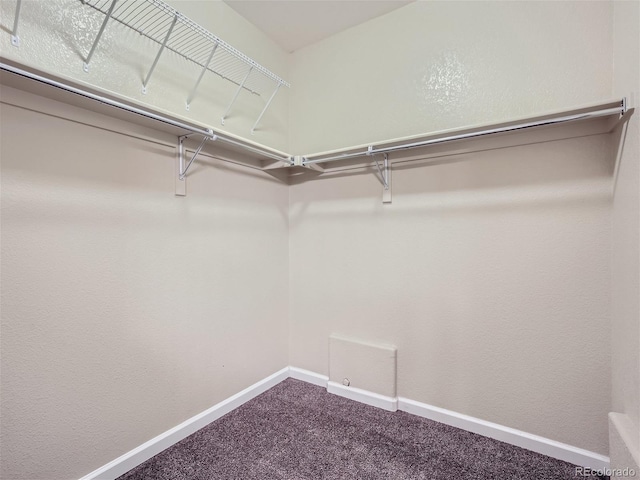 spacious closet featuring carpet flooring