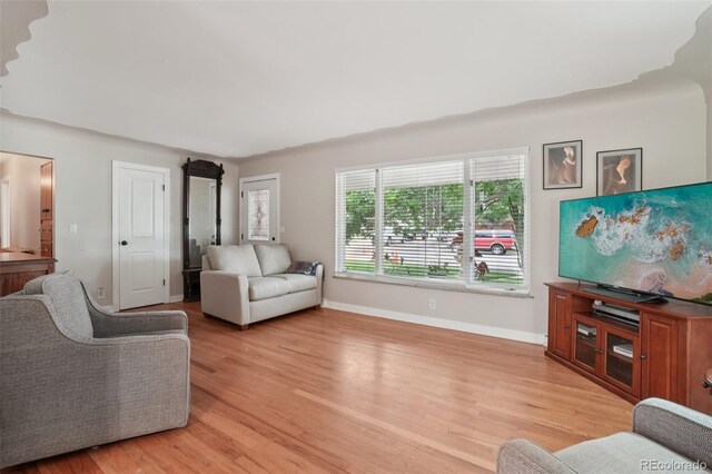 4895 S Galapago St, Englewood, CO 80110 - living room featuring light wood-style flooring and baseboards