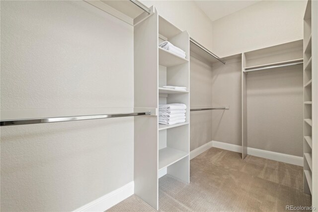 4193 W 99th Ct, Westminster, CO 80031 - walk in closet featuring carpet