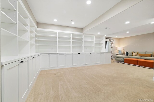 4193 W 99th Ct, Westminster, CO 80031 - view of storage area
