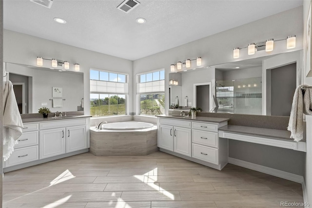 11522 Trona Ct, Parker, CO 80138 - full bath featuring a shower stall, two vanities, a garden tub, recessed lighting, and wood tiled floors
