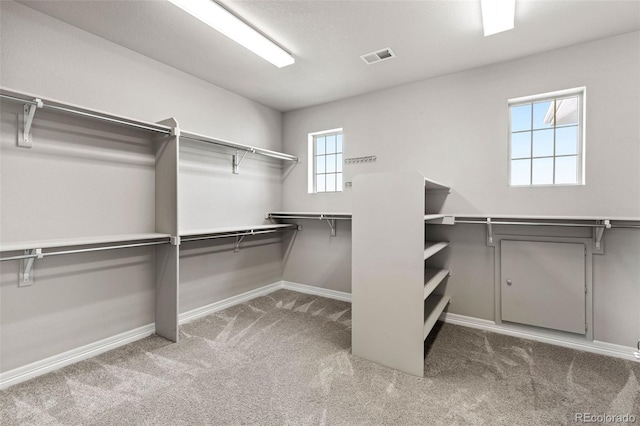11522 Trona Ct, Parker, CO 80138 - walk in closet with carpet flooring