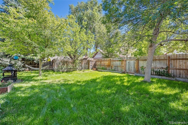 view of yard