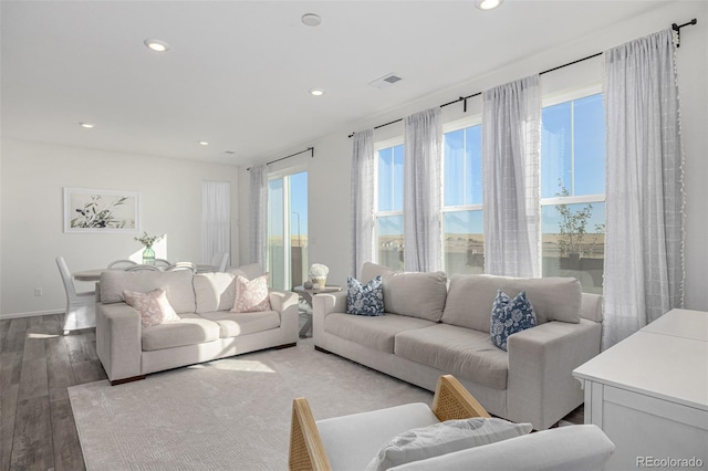 living room with hardwood / wood-style flooring and plenty of natural light